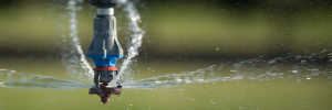 Sprinkler head background